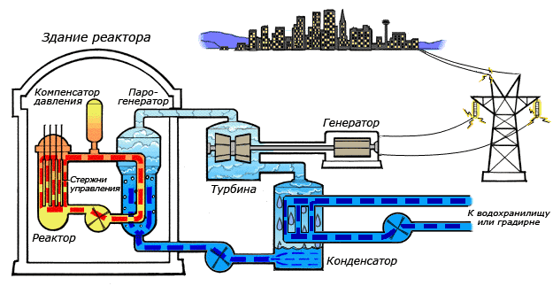 Схема работы атомной электростанции на двухконтурном водо-водяном энергетическом реакторе (ВВЭР) 