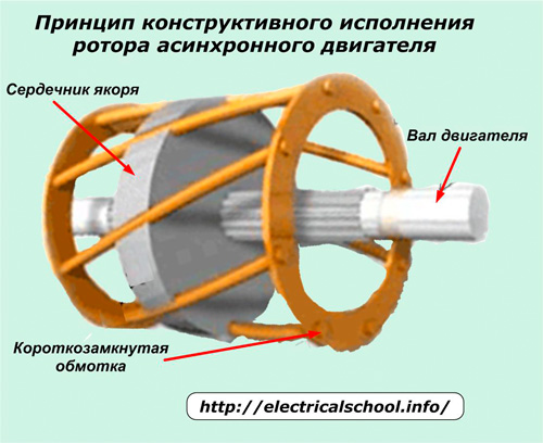 Принцип конструктивного исполнения ротора асинхронного двигателя