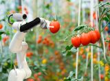 Сельскохозяйственная робототехника