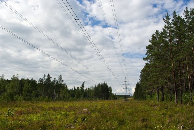 Воздушная линия электропередачи в лесу