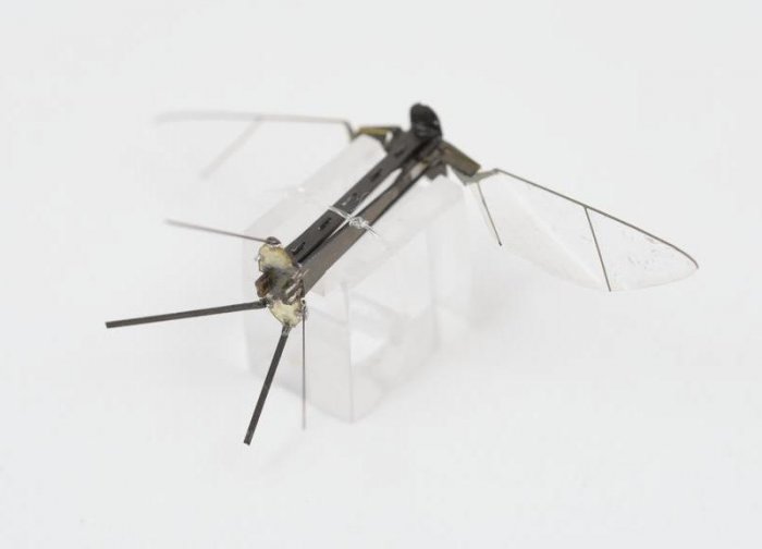 RoboBee  