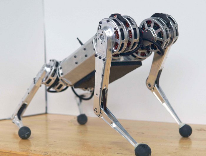 Cheetah MIT