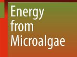 Energy from Microalgae